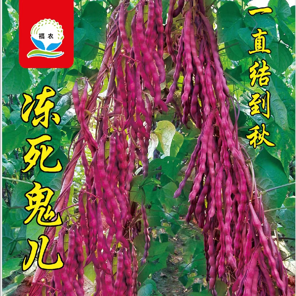 冻死鬼豆角种子 到手价¥9.90